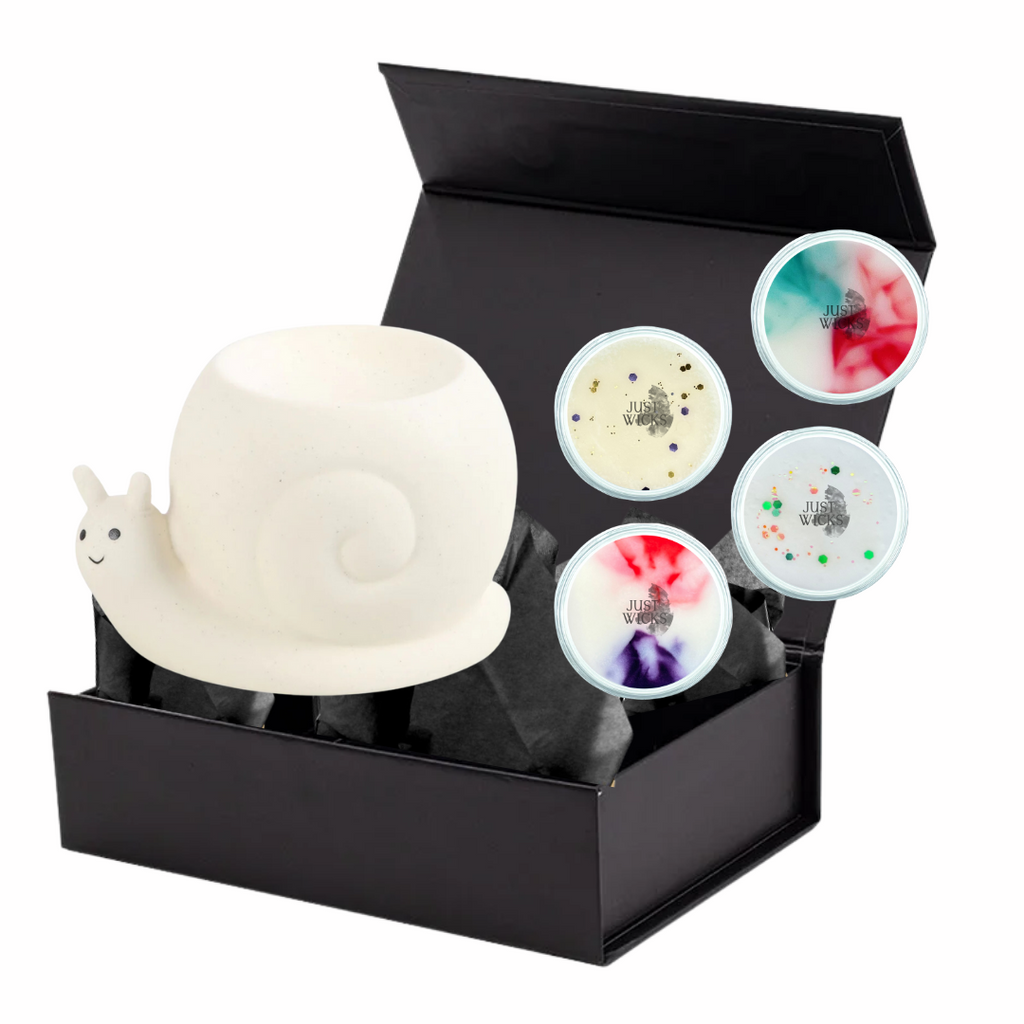 The Snail Wax Burner & Wax Melts Gift Set