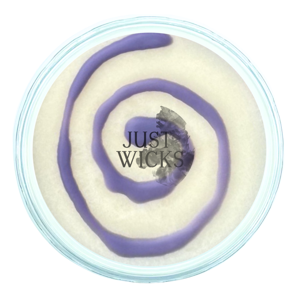 Blueberry & Vanilla Swirl | Wax Melt